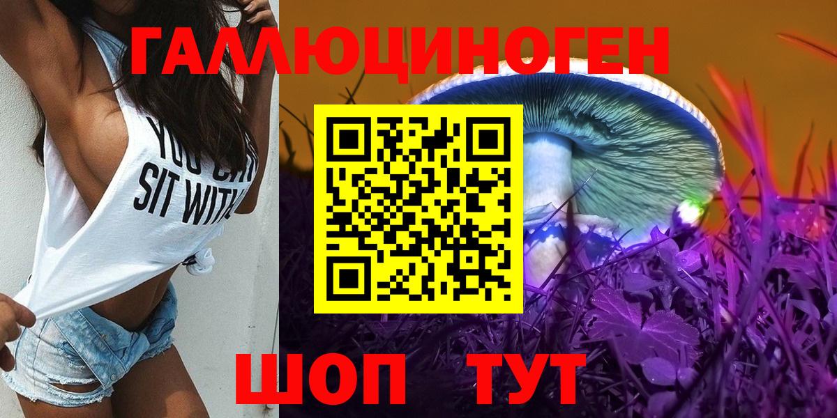 Псилоцибиновые грибы Cubensis Курчатов