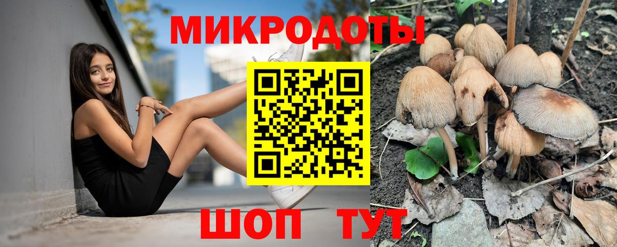 Псилоцибиновые грибы ЛСД  Галлюциногенные грибы ЛСД  Вход с VPN  Курчатов 
